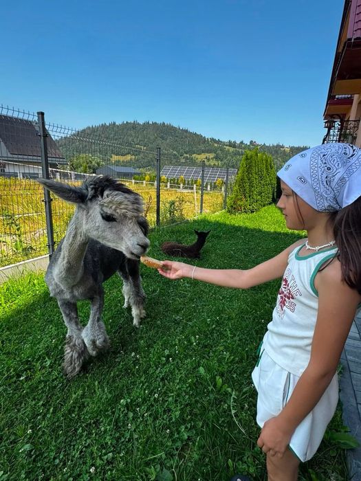 Noclegi Zakopane