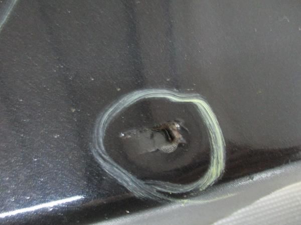 Embaladeira direita MINI Mini (R50, R53)