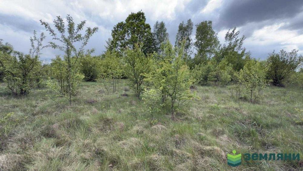 Продається ділянка 10 сот під будівництво в с. Березівка (7)