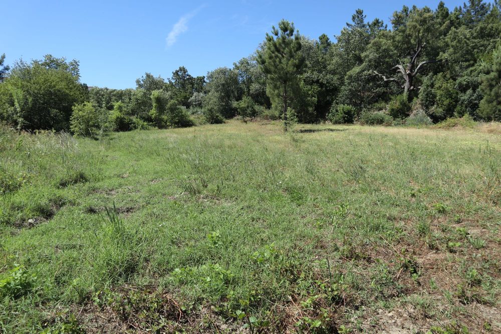 Quinta de 3,6 hectares com ruínas e terreno urbano em Alcaide