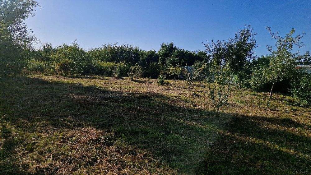 Земельна ділянка