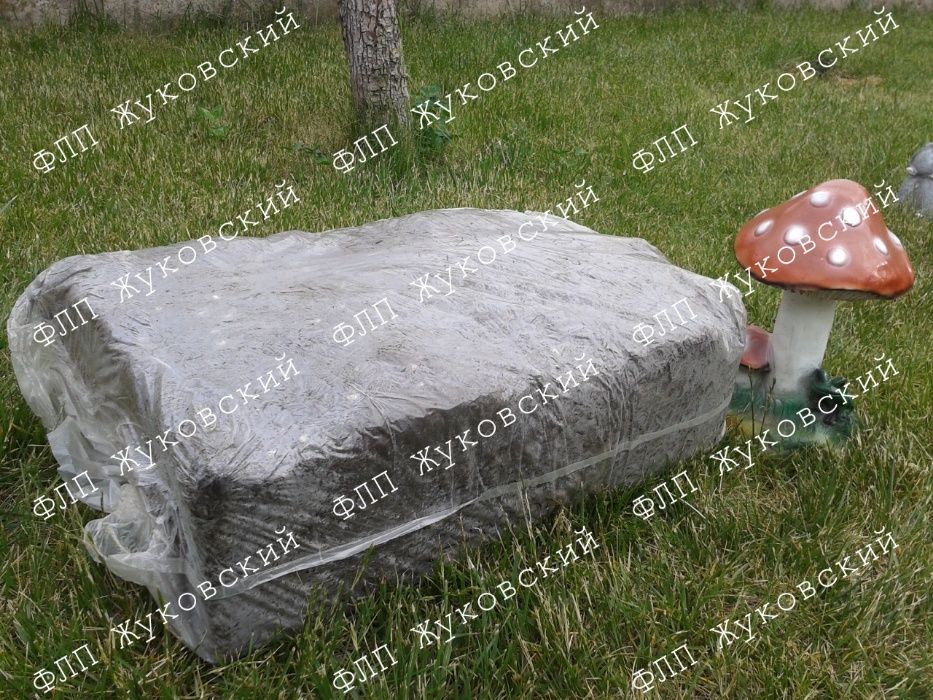 Блок королівської (коричневої) печериці Стандарт Королівский без покро