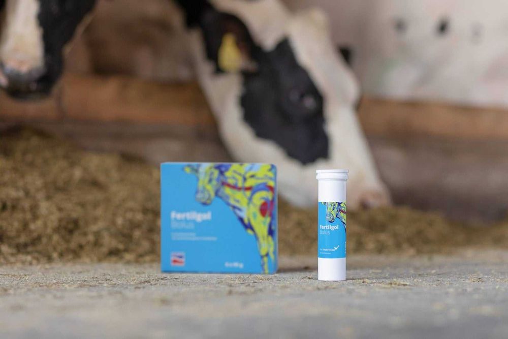 Bolus dla krów z problemami w rozrodzie, Fertilgol, 8 x 95 g, Agrochemica