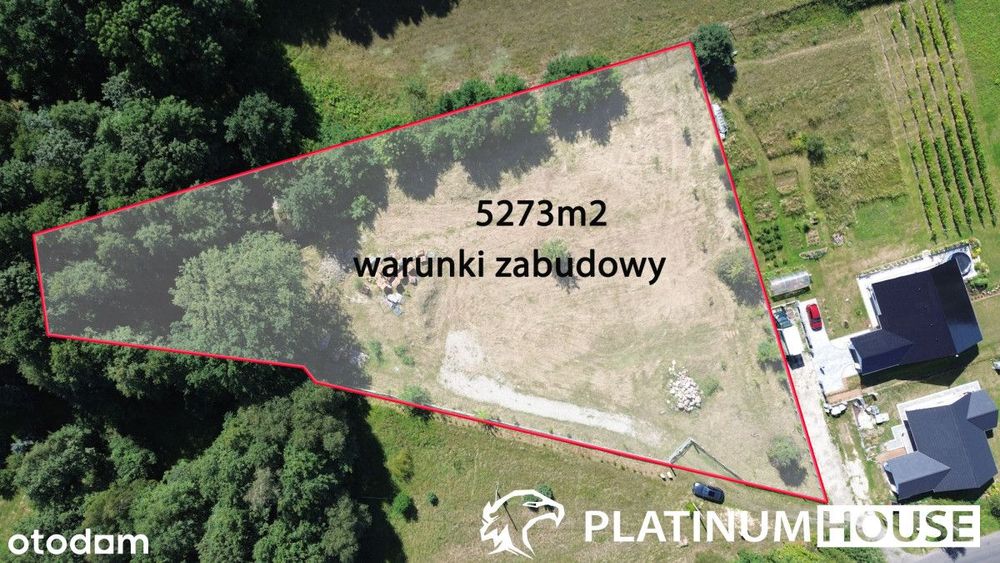 Działka z lasem, stawem i warunkami zabudowy!!! - Widok 3