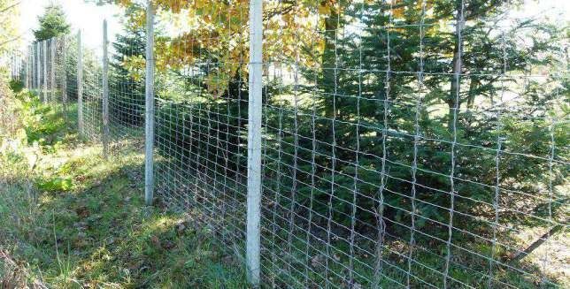 Siatka leśna, ogrodzeniowa 180/24/15 L zagęszczana gęsta