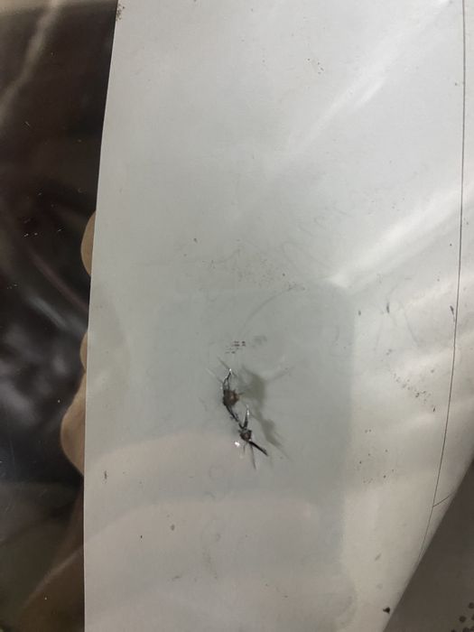 Ремон трещин и сколов.Замена стекла.Тонировка авто.Полировка фар