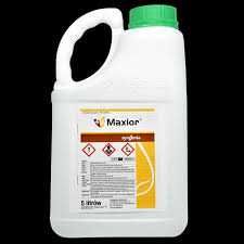 Fungicydy Duet na start Daxur Avtar Pictor Maxior Caryx Gavial Toprex