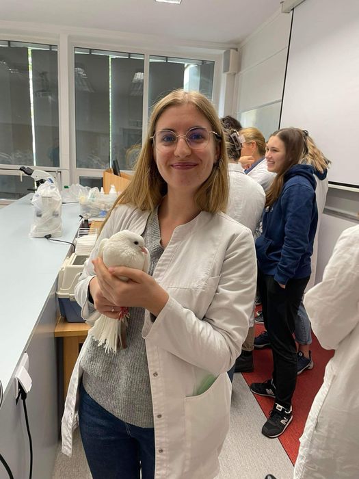 KOREPETYCJE chemia rozszerzona- Matura - Online i stacjonarnie Wrocław