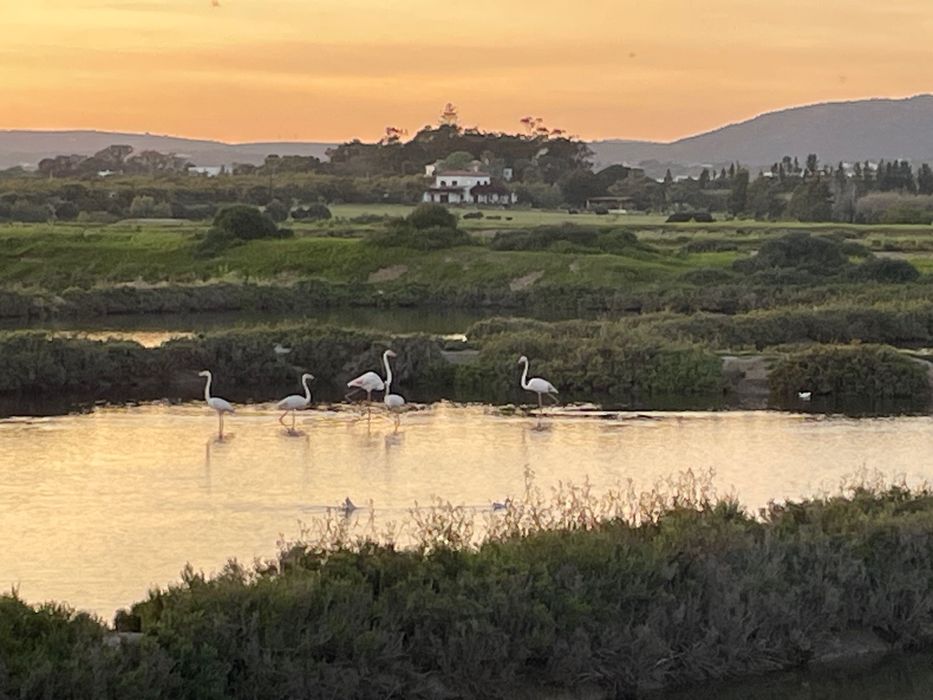 FLAMINGOS E BRISA DO MAR: casa de férias Algarve/Fuseta/Ria Formosa