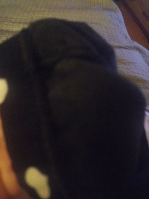 Cieple leginsy 116/128