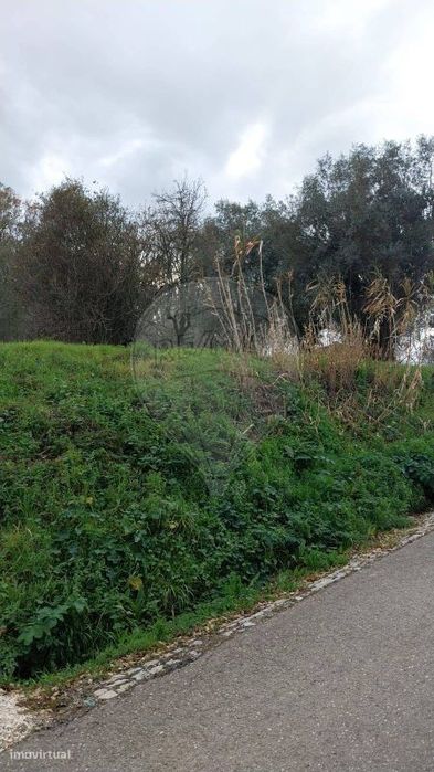 Terreno  para venda — Santiago E São Simão De Litém E Albergaria Dos Doze, Leiria