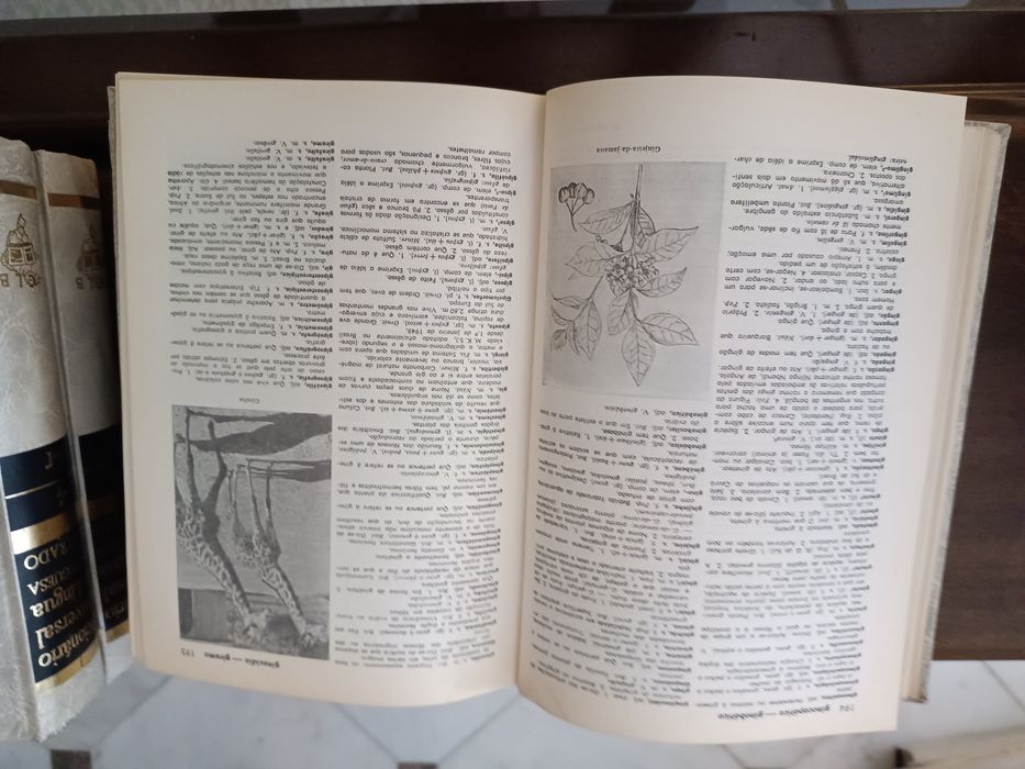 Fico universal da língua portuguesa
