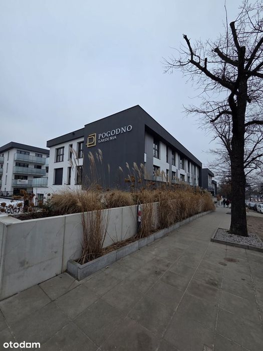 Szczecin, Gardenia Pogodno , nowe mieszkanie do wynajęcia