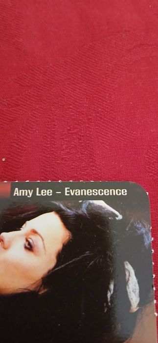 Calendário Amy Lee - Evanescence