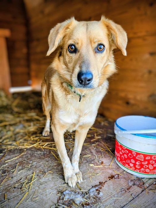 Sunia Bafi czeka na spokojny dom