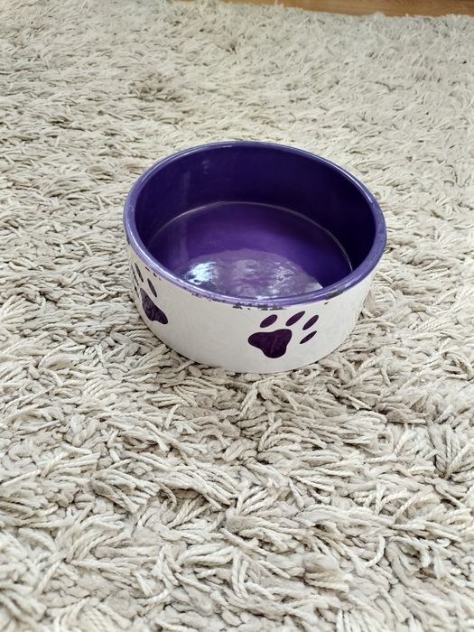 Miski porcelanowe dla psa pupila ogłoszenie aktualne