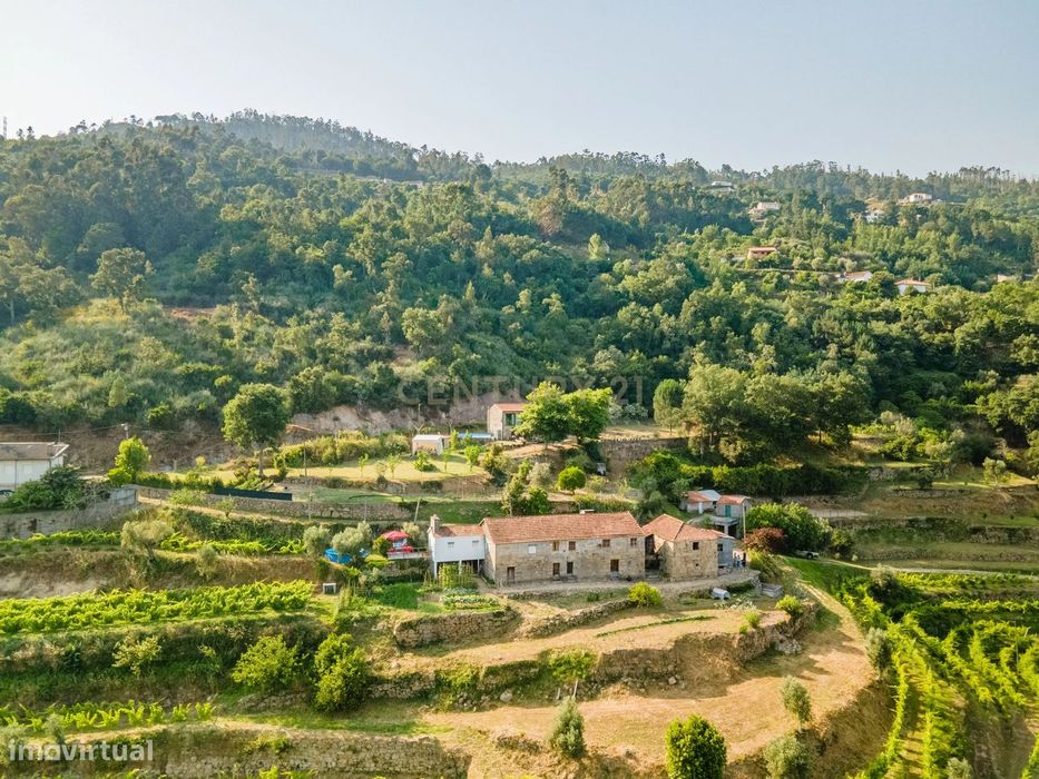 Quinta com Vista Deslumbrante sobre o Rio Douro – Projeto Aprovado par