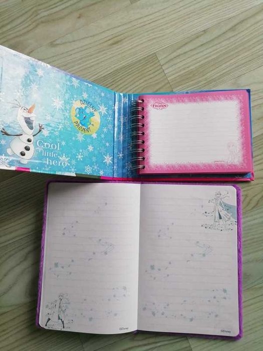 Pamiętnik i notes Frozen