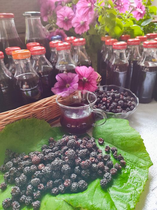 Maliny.  Sok malinowy.  Domowy sok z czarnej maliny – naturalny smak prosto z ogrodu