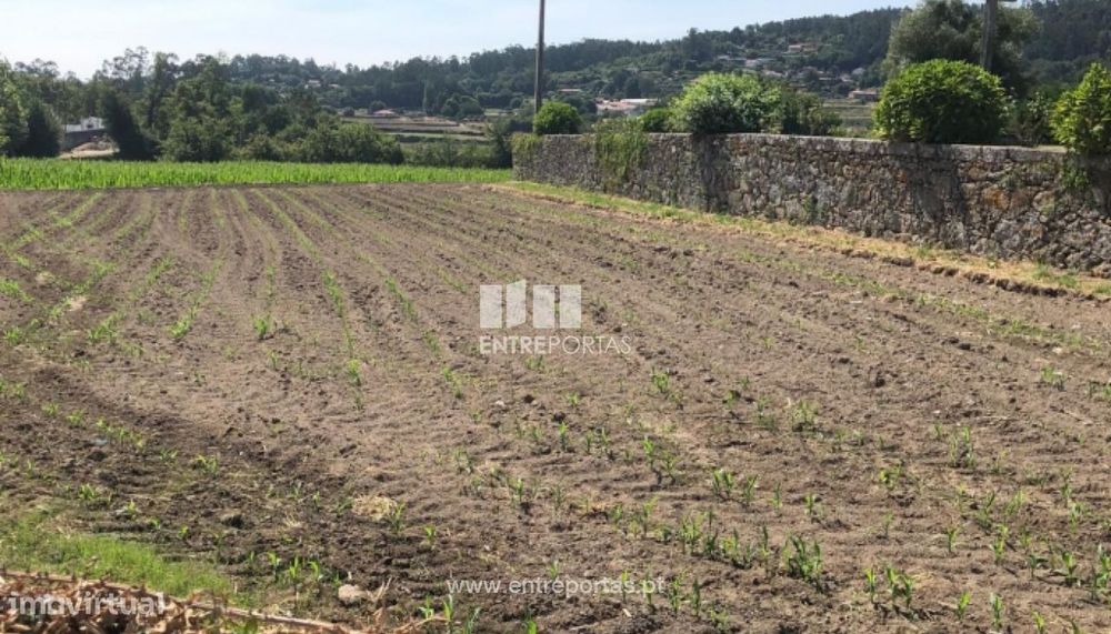 Venda de Terreno para construção em Padornelo, Paredes de Coura — Padornelo, Viana do Castelo