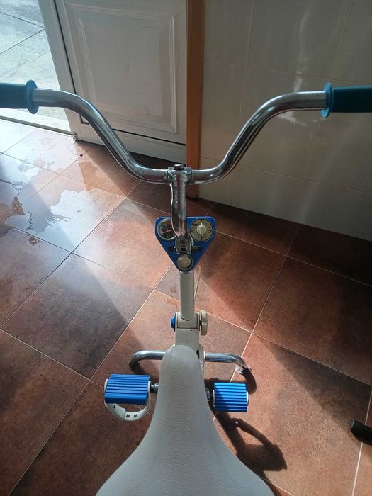 Bicicleta Home- casa BH