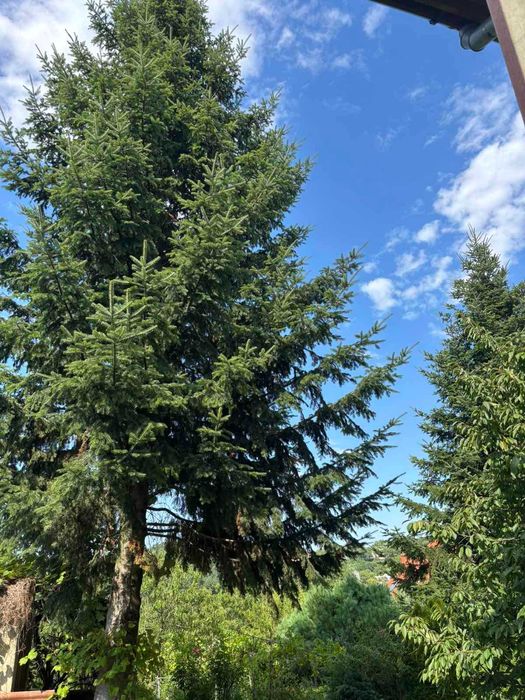 Будинок за адресою вул. Капеланська (площа 297 м²) - Atlanta.ua - фото 11