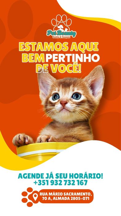 Loja de Banhos e Tosquias