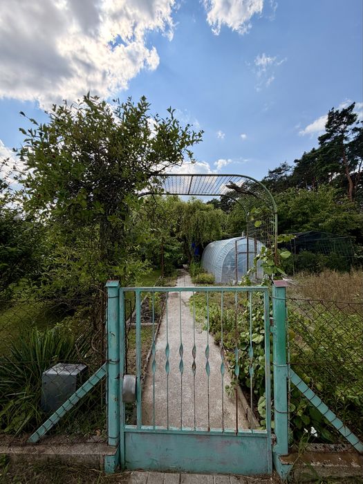 Działka ROD 'Marzenie' 515 m² - Osiedle na Olimpie - murowana altana, kominek, tunel foliowy, borówki - Widok 4