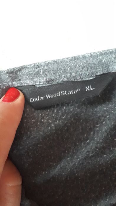 Koszulka męska Cedar woodstate xl