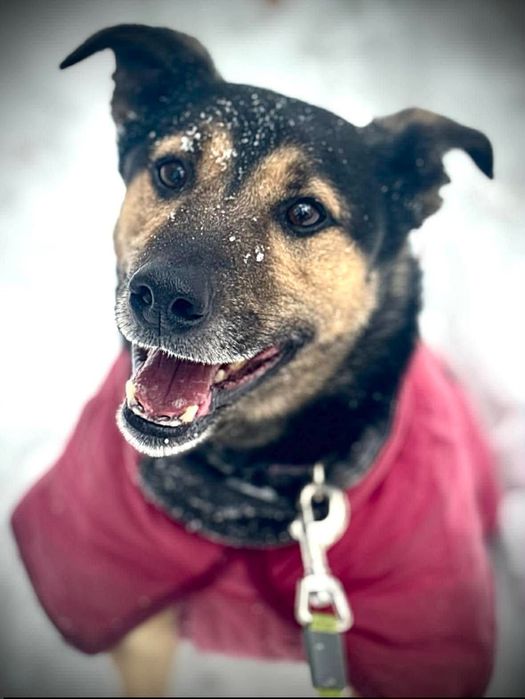 Lemo - Niewidzialny od lat