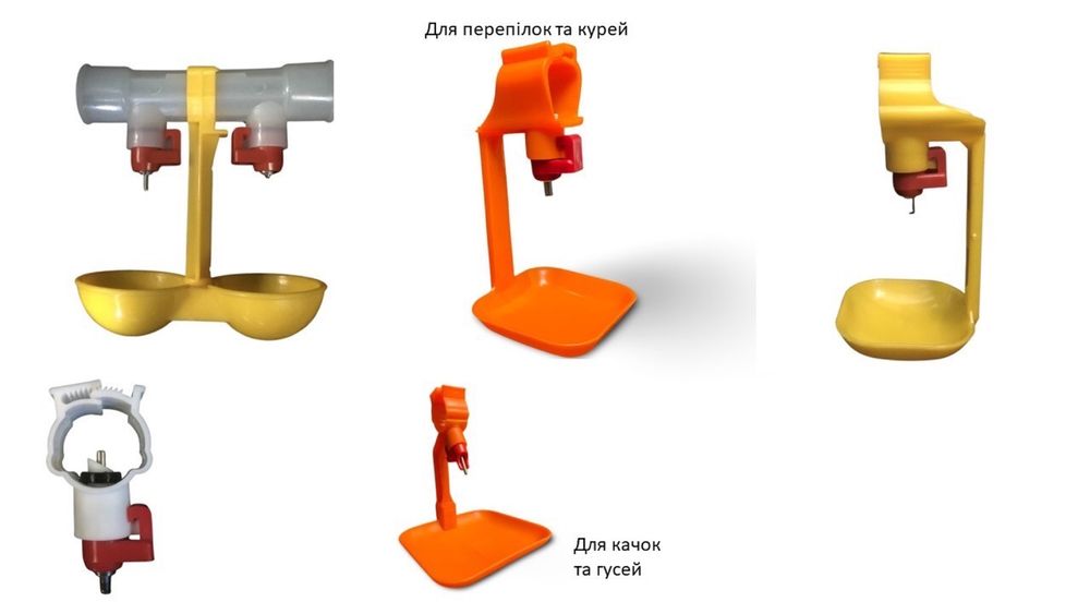 Лотки для інкубації качиних яєць
