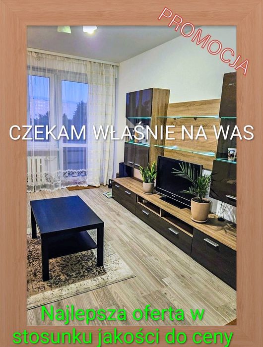 Mieszkanie do wynajęcia 2 pokoje 2 bedroom flat to rent
