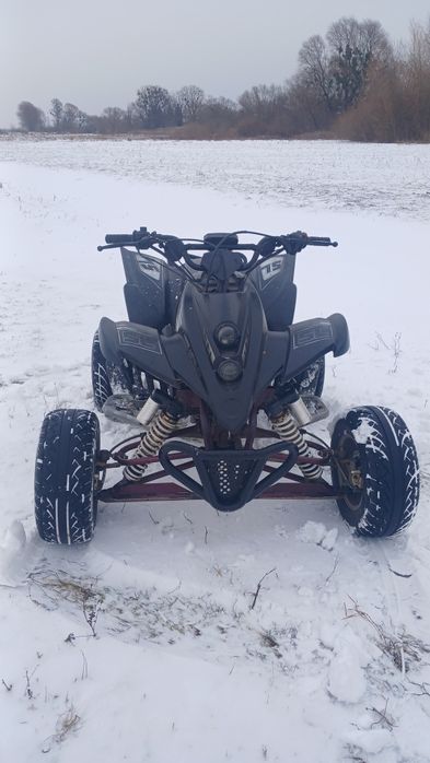 Квадроцкл шенрей 250