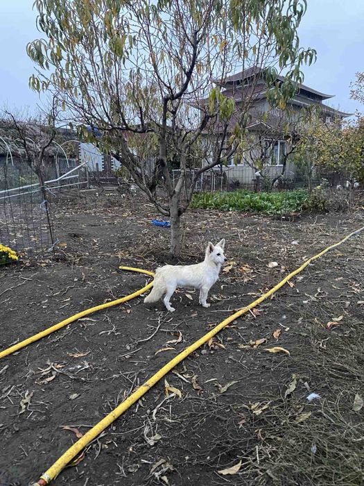 Чудом выжившая девочка