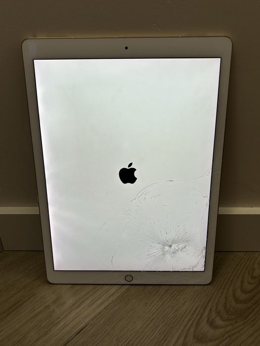 IPad Pro 12.9 512GB + 4G