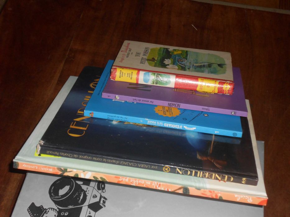 Livros infantis juvenis em lingua francesa BD e outros