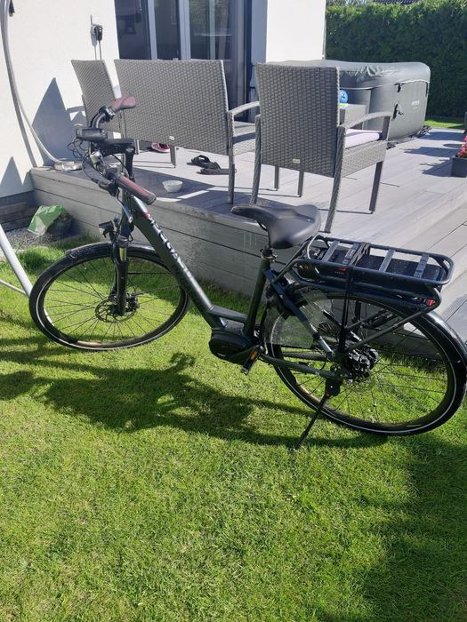 Rower elektryczny Pegasus