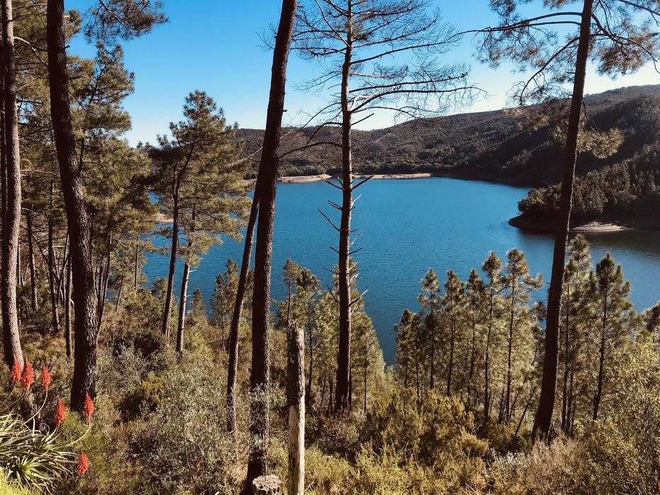 Casa Férias - Barragem Castelo de Bode