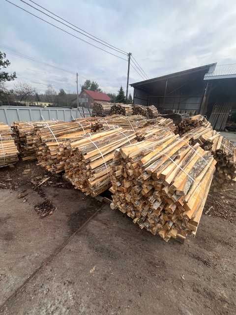 OPAŁ, ZRZYNY ,  dąb, sosna - 100 zł PROMOCJA