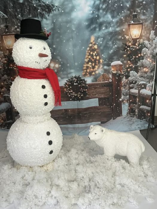 Tlo zimowe  +bałwan