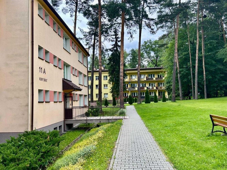 Odnowiona kawalerka na wynajem