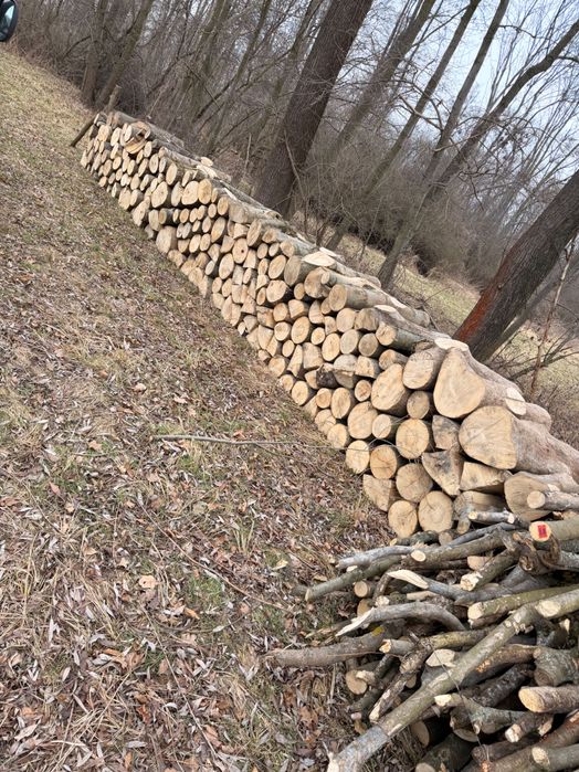 Drewno opałowe jesion