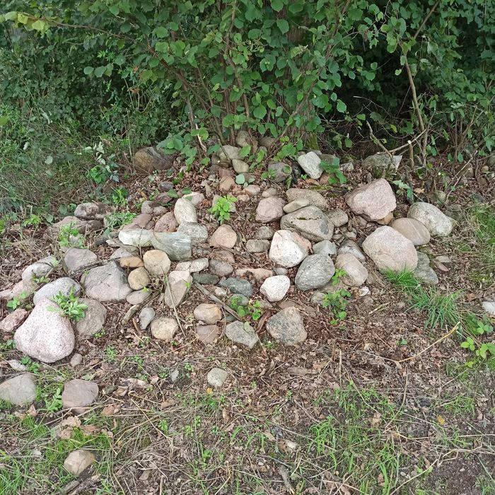 Kamień polny zbierany