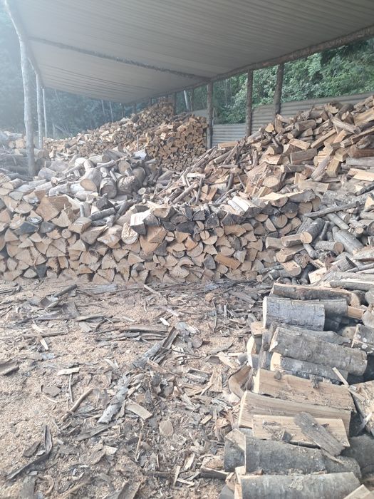 Todos os tipos de lenhas