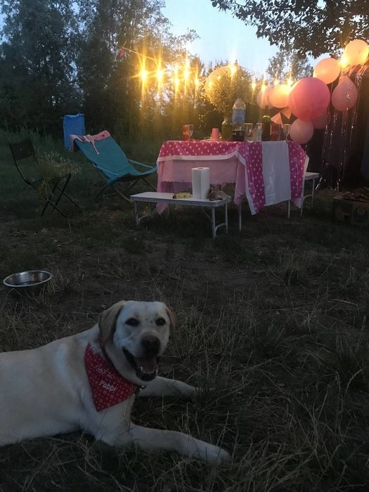 USB 5V ЯРКАЯ портативная гирлянда ретрогирлянда от повербанк лампа юсб