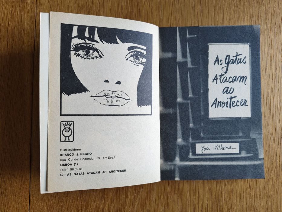 José Vilhena "As gatas atacam ao anoitecer"