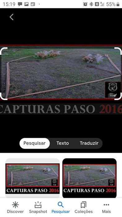 Rede proteção  pássaros