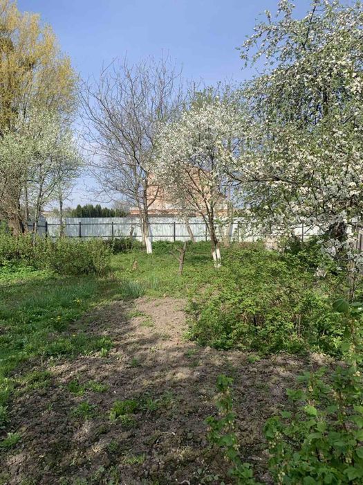 Продам будинок в Здолбунові