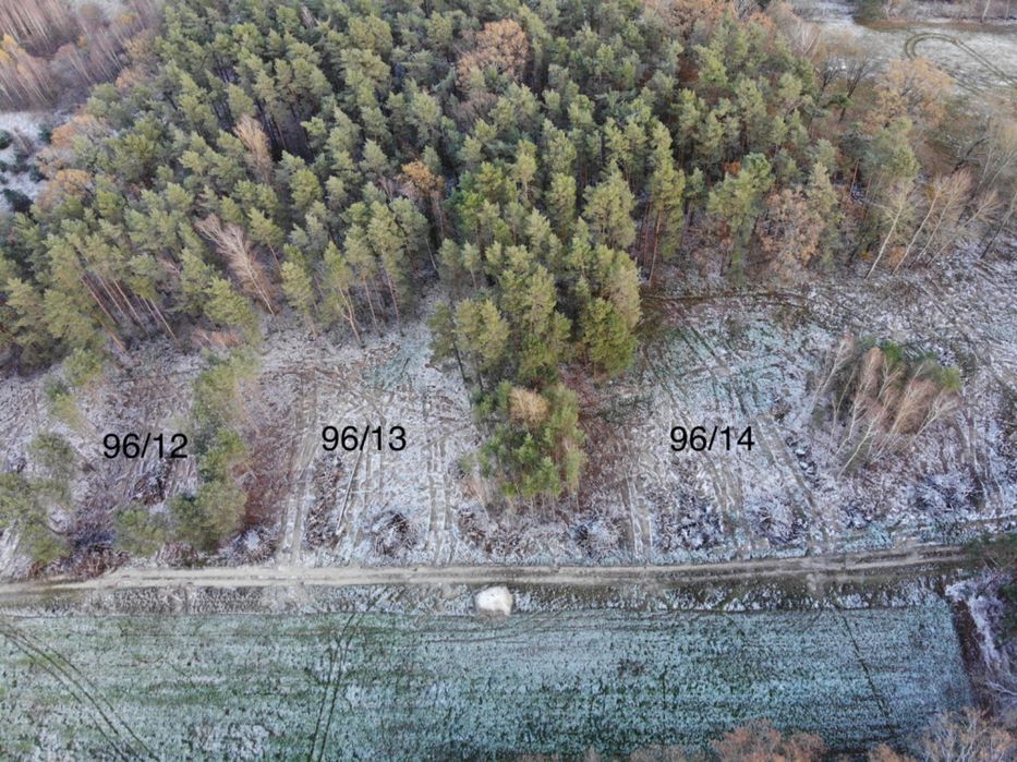 Działki budowlane przy lesie | Jasień | Spokojna okolica