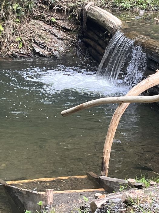 Котедж серед лісу  в Карпатах.  Риболовля. Чан.Сауна. Без сусідів.